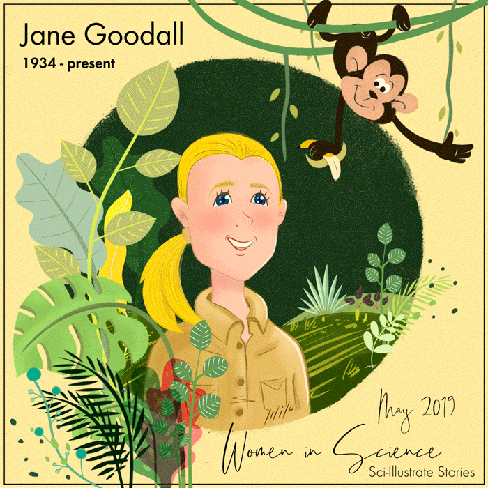 Dr. Jane Goodall. A leading #primatologist, #ethologist… | by  Sci-Illustrate | Sci-Illustrate Stories | Medium