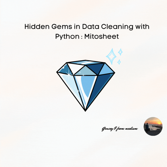 Hidden Gem in Data Cleaning with Python: Mitosheet | DataDrivenInvestor