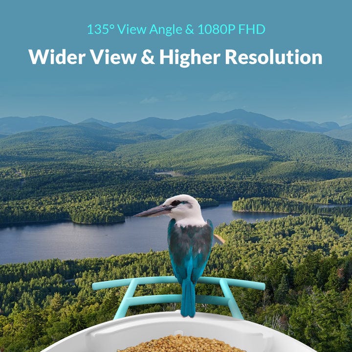 Netvue Birdfy Camera vs Bird Buddy Camera; Which One is Better? by