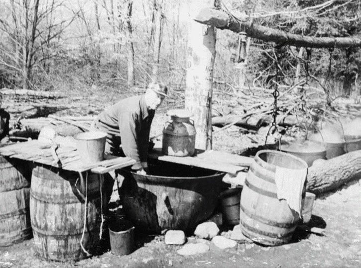 Sap to Syrup The Enduring Legacy of Maple Syrup Production in Simcoe