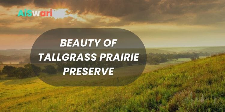 Discovering the Beauty of Tall grass Prairie Preserve: A Journey ...
