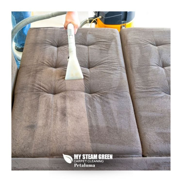 Say Goodbye to Stains Professional Sofa Cleaning Solutions My Steam
