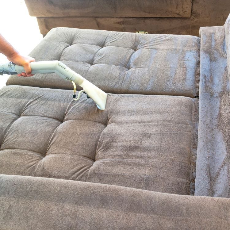 Sofa Cleaning Extravaganza Elevate Your Living Space My Steam Green