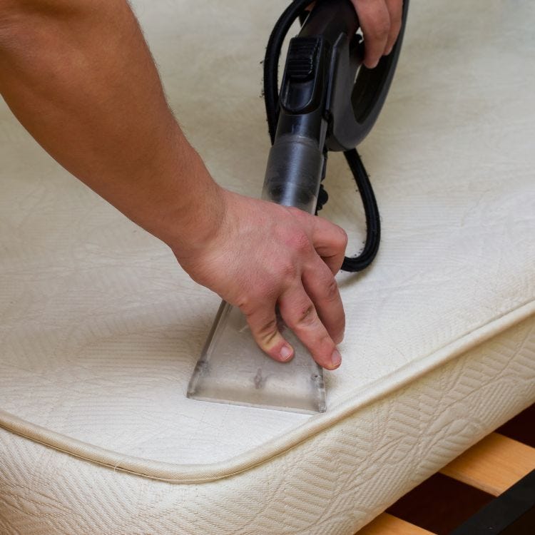 Indulge in Luxury Expert Sofa Cleaning Services Unleashed! My Steam