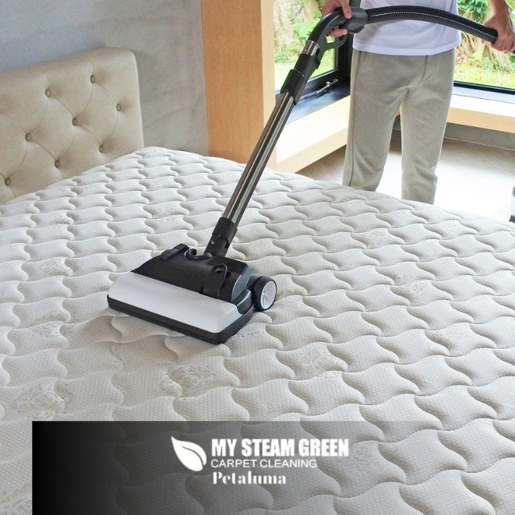 The Importance of Regular Mattress Cleaning A Comprehensive Guide My