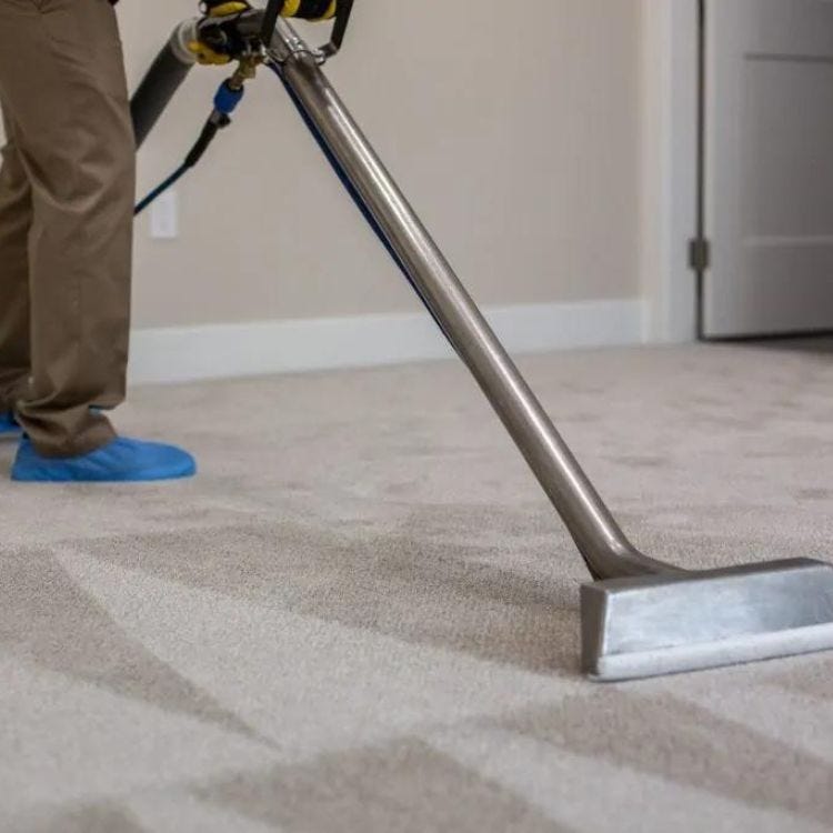 Revitalize Your Space Unveiling the Magic of Carpet Cleaning My