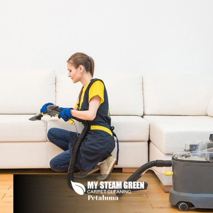 Refresh Your Living Space Expert Sofa Cleaning Services My Steam
