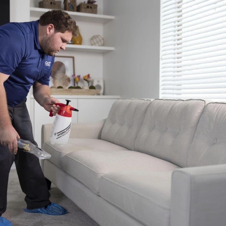 Discover Unmatched Freshness Professional Sofa Cleaning My Steam