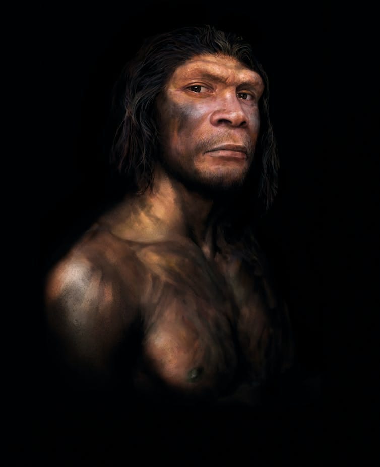 Neanderthals Died Out 40 000 Years Ago But There Has Never Been More