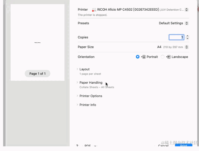 Flutter Printing Functionality. Introduction | by hqlix | Medium