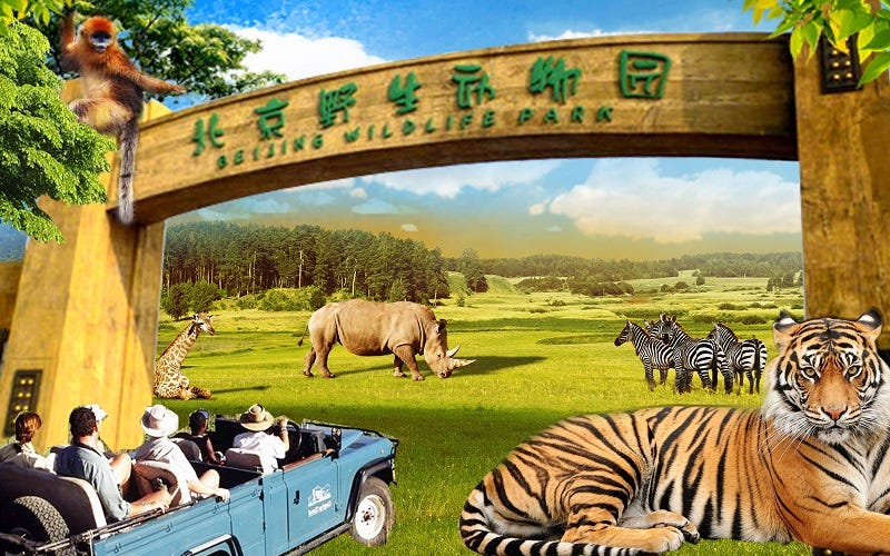 Exploring the Marvels of Wildlife Parks: A National Treasure | by ...