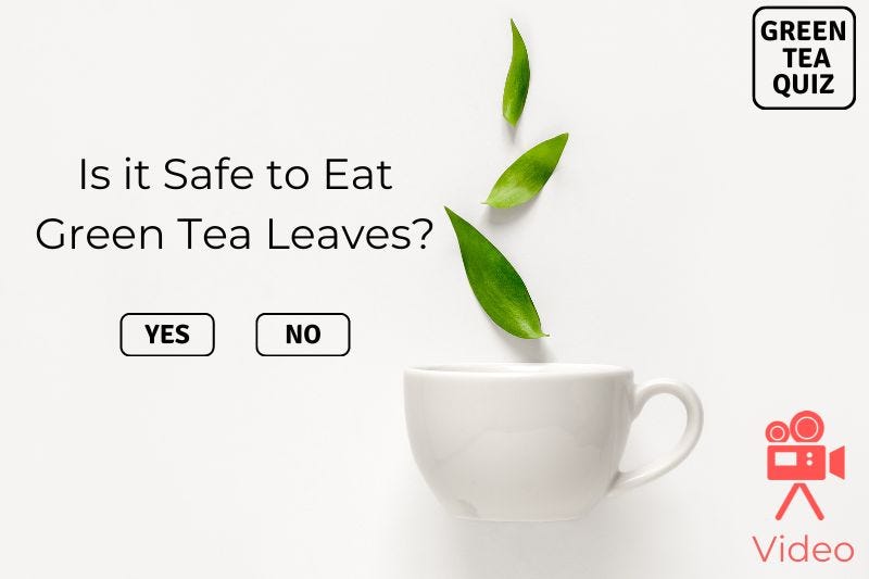 Is it Safe to Eat Green Tea Leaves? by Kei Nishida Medium