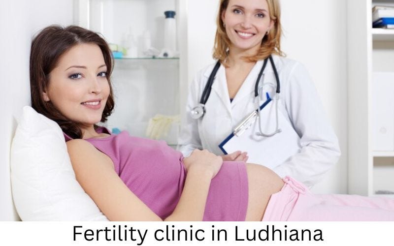 Navigating Fertility Challenges Your Guide to IVF and Beyond in