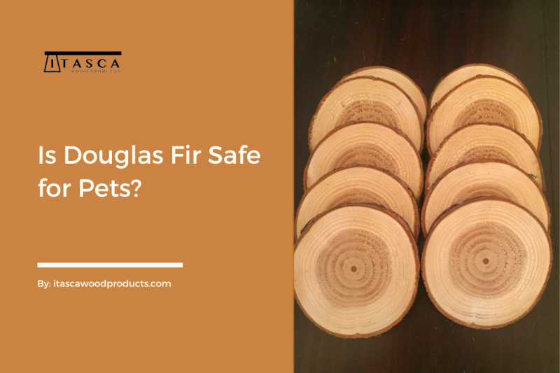 Is Douglas Fir Safe for Pets? Safety of Douglas Fir for Pets by