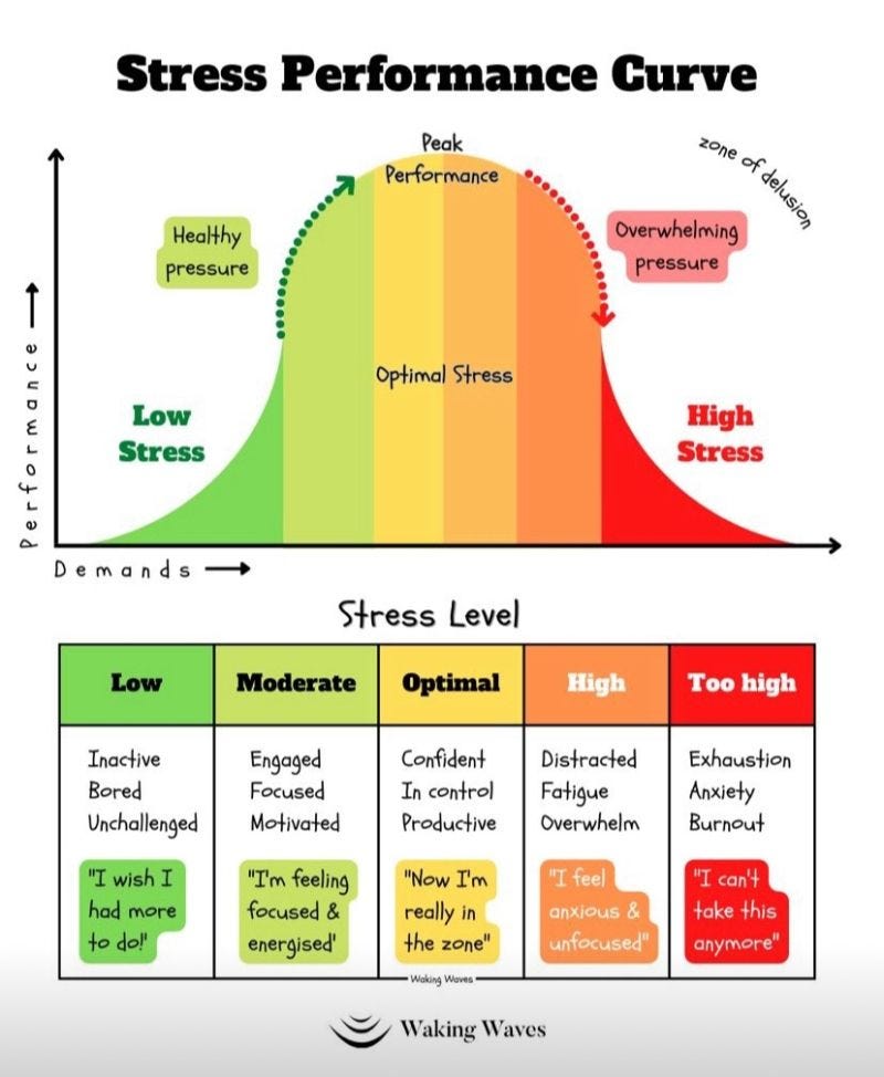 Navigating stress. Okay. You are feeling stressed and… | by Sangeeta N ...