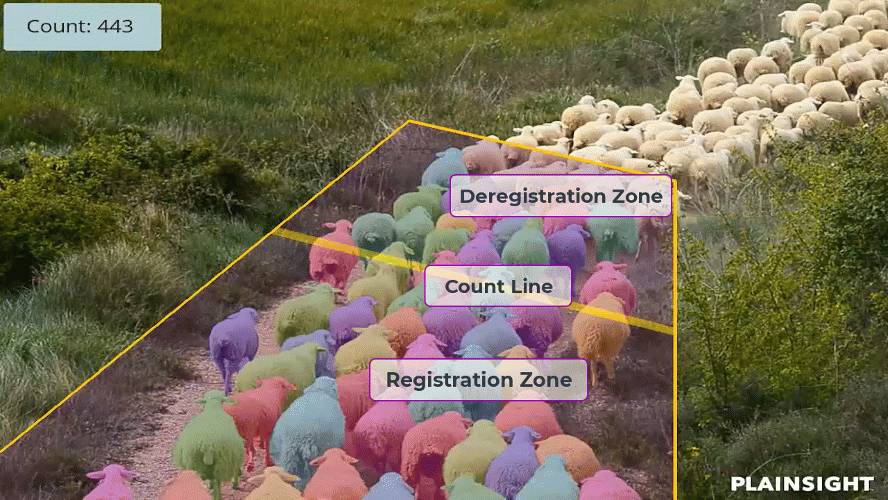 Use Vision AI for Accurate Livestock Monitoring at Scale