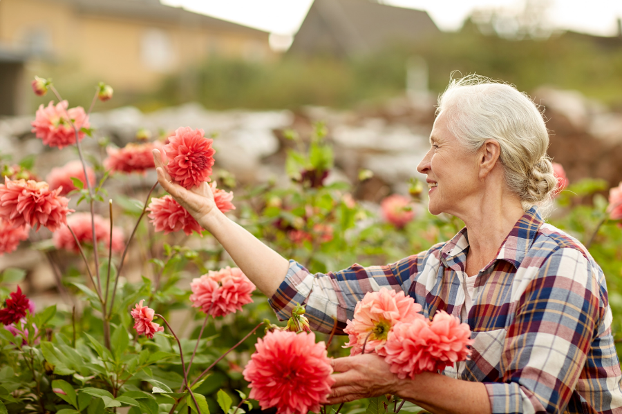 Affordable Online Mental Health Counseling in Texas by Total Life