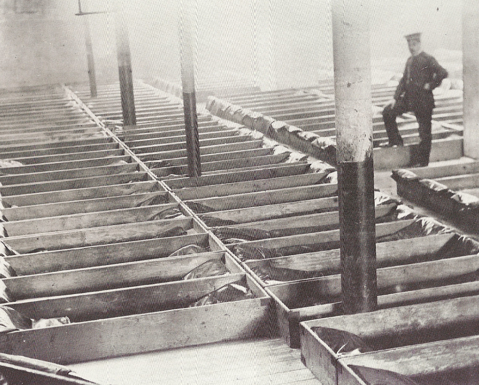 17 Heartbreaking Photos They Didn’t Want in History Books by Isla(01)