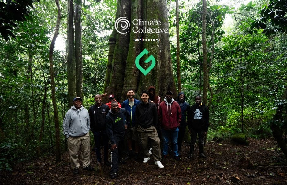 GainForest joins Climate Collective: Battling Deforestation with AI ...