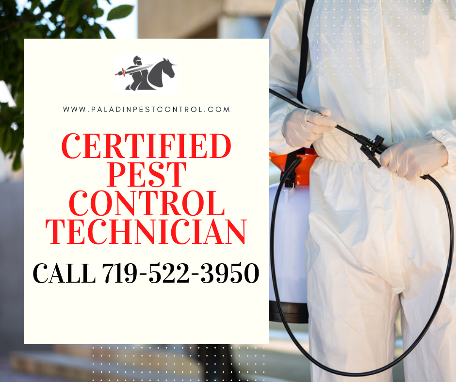 Tips on How to Find a Good and Affordable Pest Inspector in Pueblo by
