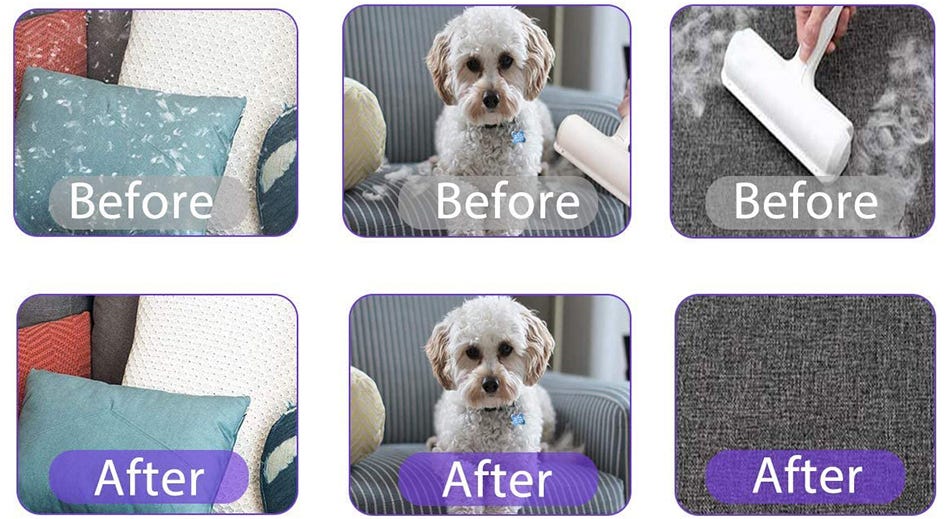 Dog Hair Remover How to Get Rid of Pesky Pet Hair from Your Home or