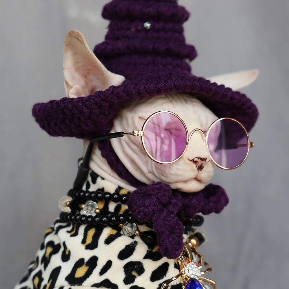 Cats Costume? What to Know Before You Dress Up Your Cat by classy