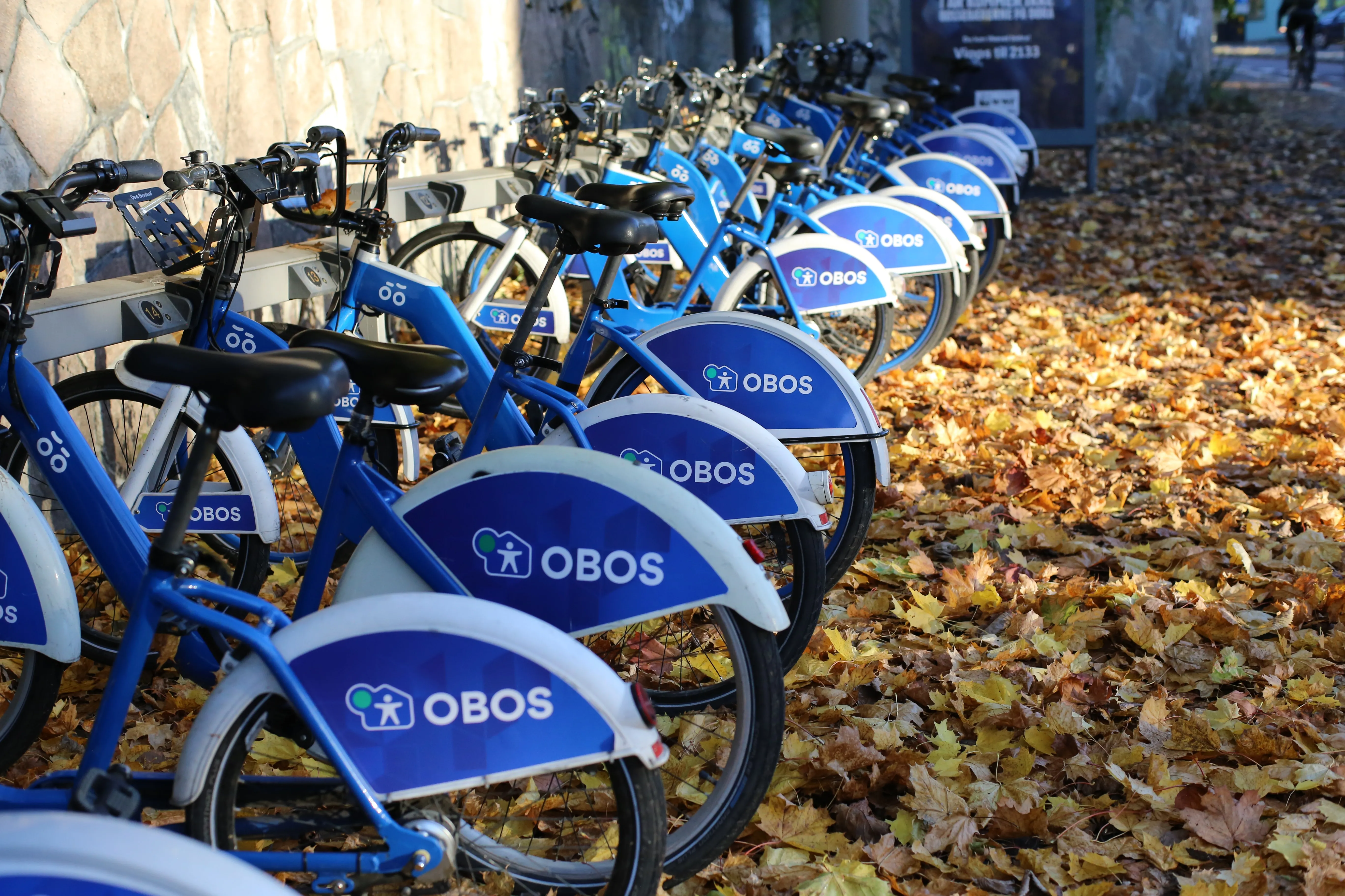 Bike_sharing