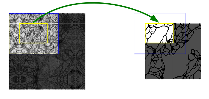 Mirror Extrapolation