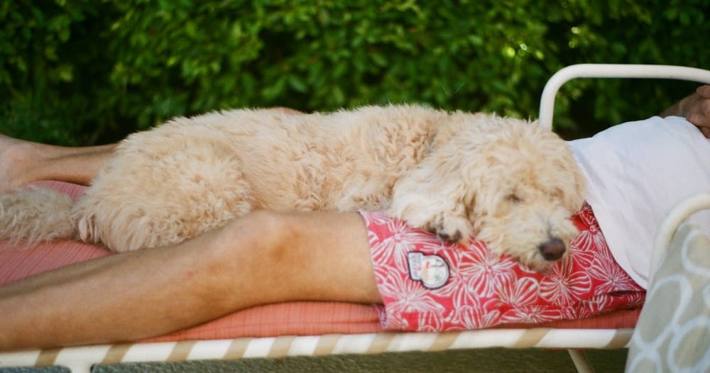 big-days-in-california-poem-by-d-beasley-scuzzbucket-medium