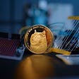 6 Meme Coins that reach 100x within a week