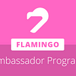Earn up to 500$/month on new Ambassador Program