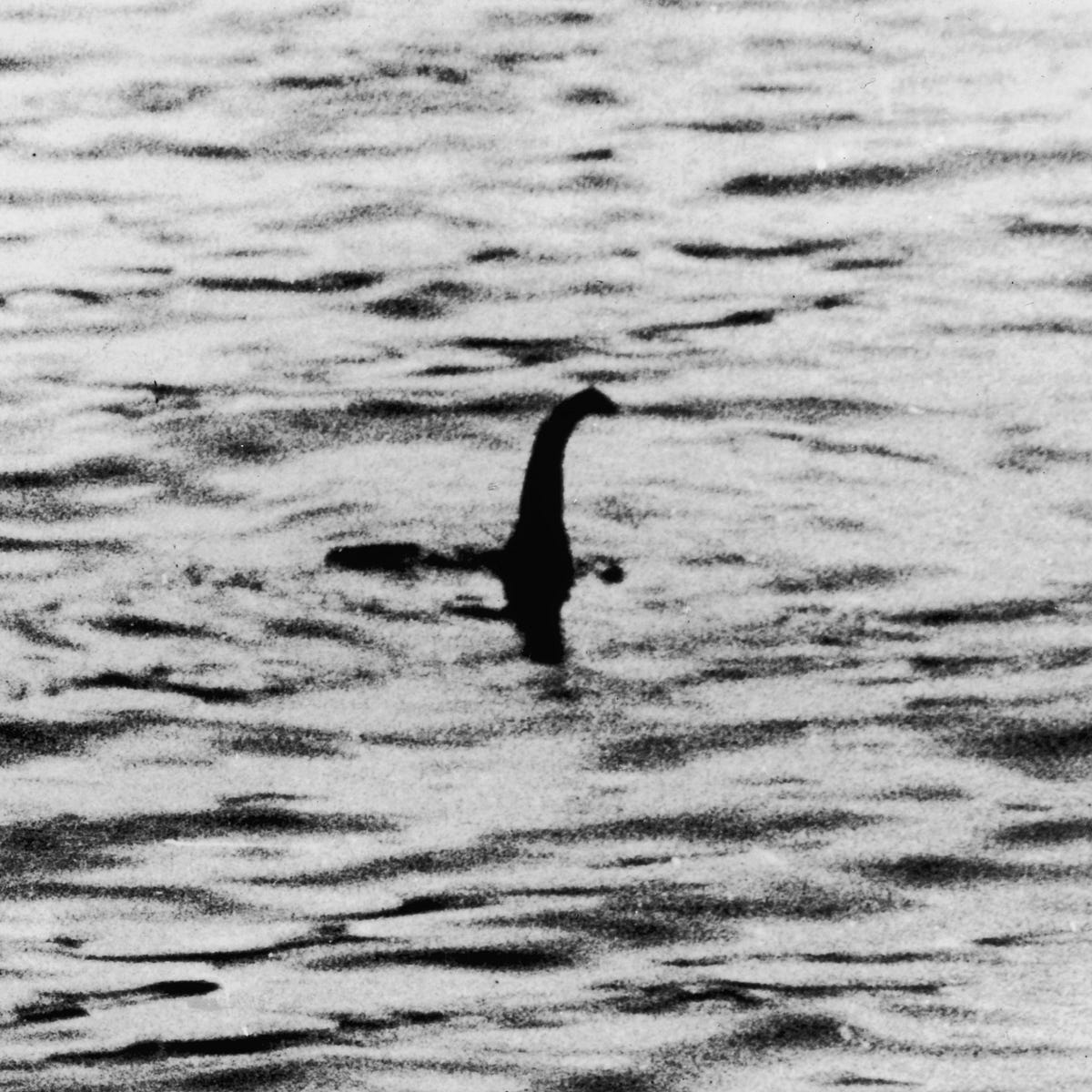The Psychological Benefits of Believing in the Loch Ness Monster | by Cari  Nazeer | Forge