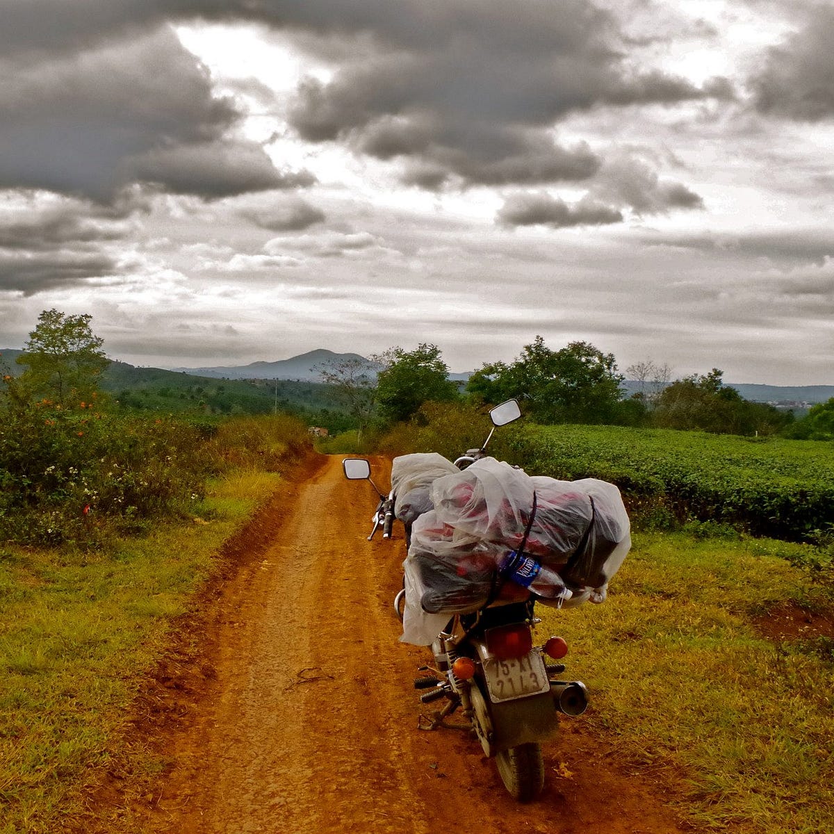 Moto Moto Wandering Madagascar White List GIF