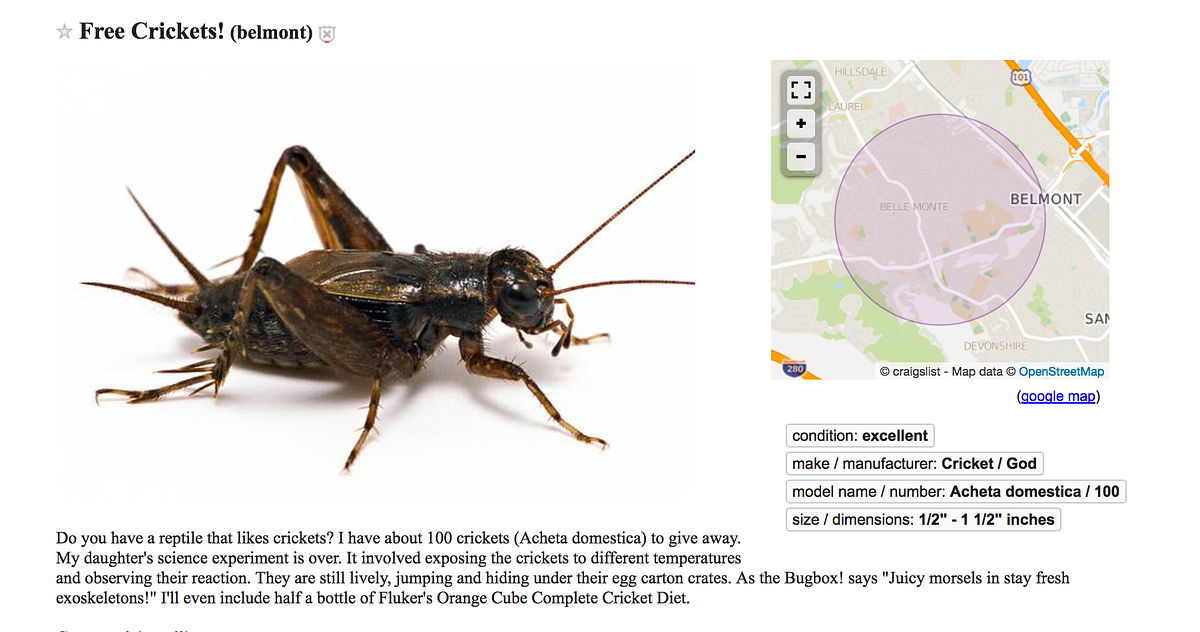 The Weirdest Things for Sale on Craigslist in the Bay Area This Week