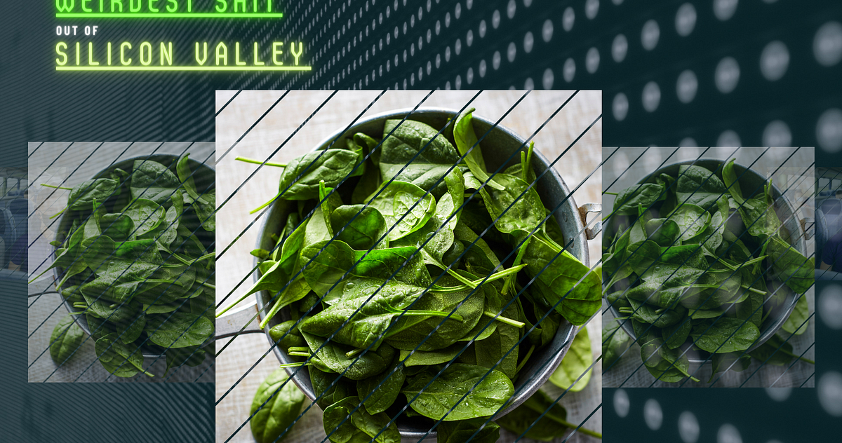It’s True MIT Researchers Have Taught Spinach to Send Emails by Zara