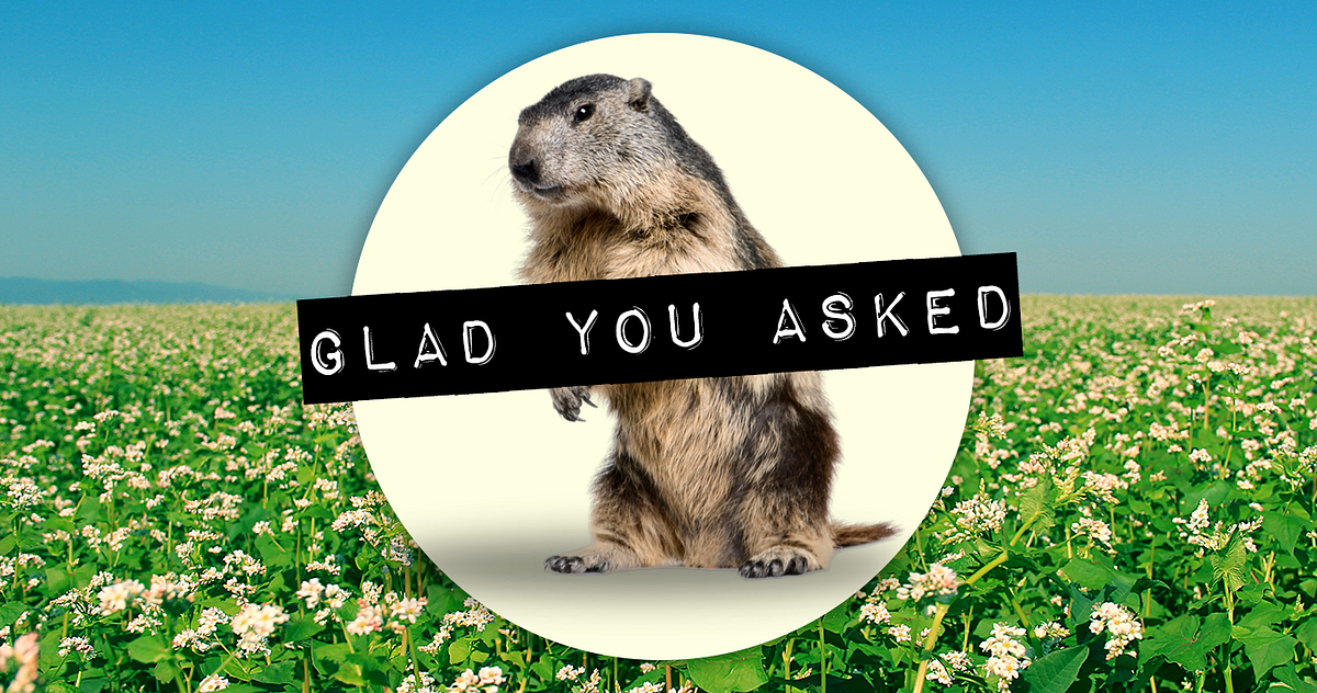 What’s A False Spring?. Spoiler alert: It’s scary. | by Ilana Gordon ...