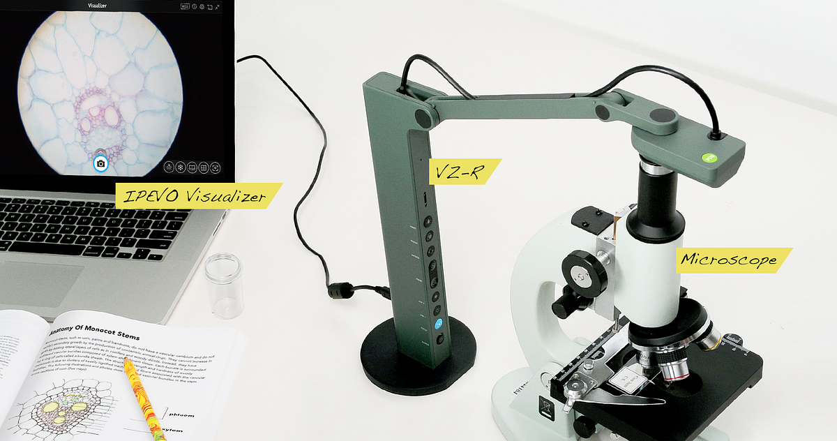 Get a closer look by using IPEVO’s document cameras with a microscope