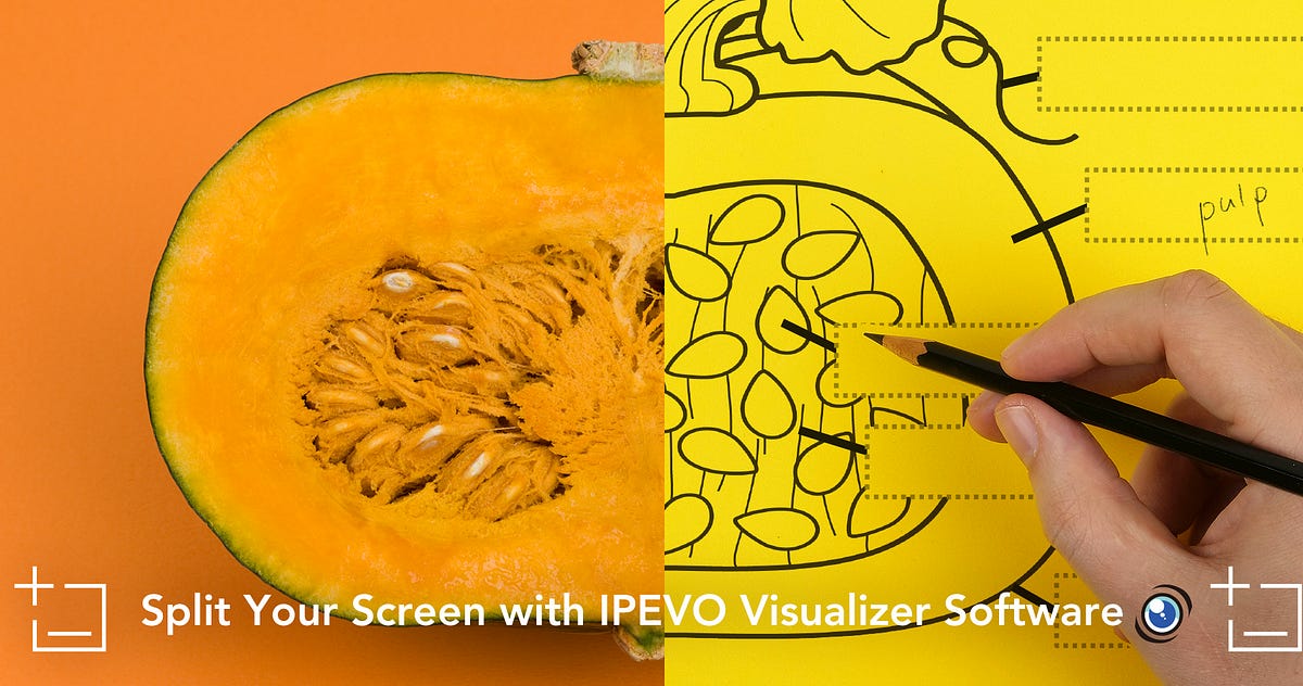 IPEVO Visualizer split screen function | On IPEVO