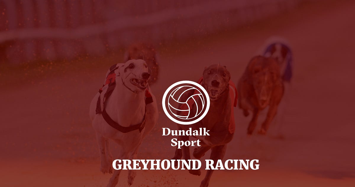 GREYHOUNDS | Eighth-race Greyhound Card At Dundalk Stadium On Friday ...