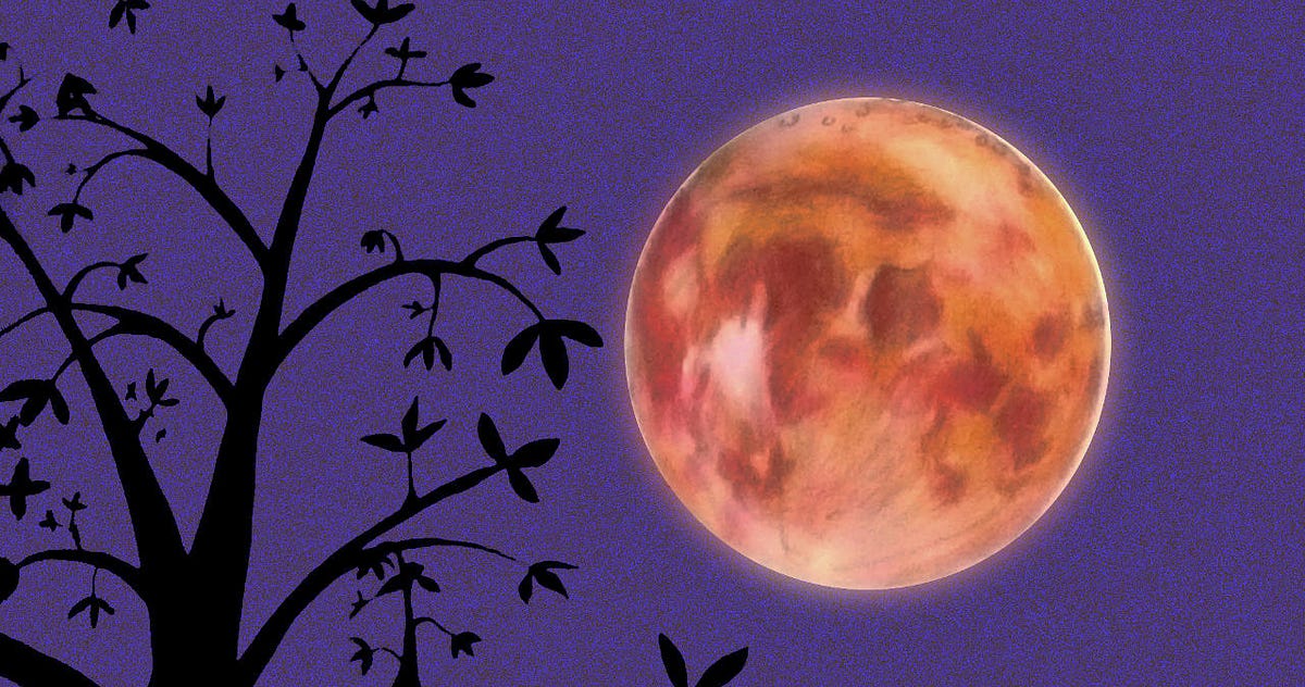 Falling Moon. Why does the moon stay up in the sky… | by Badri ...