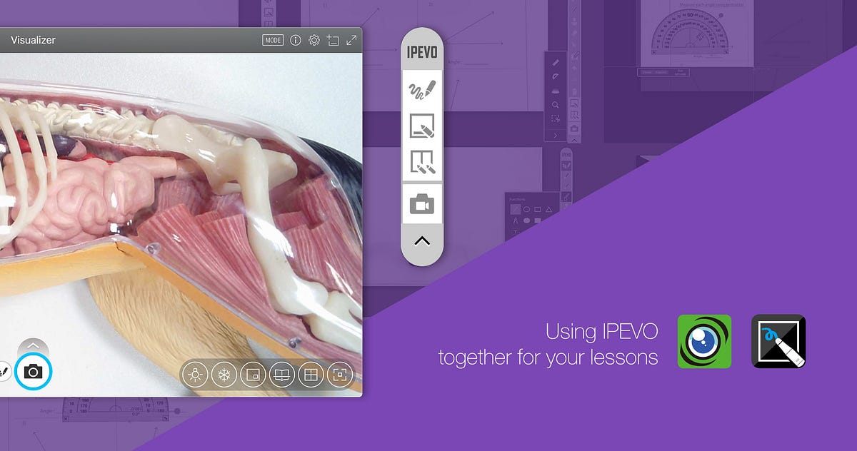 Using IPEVO Visualizer software and Annotator software together for