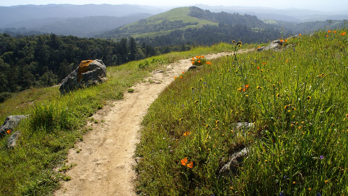 Image of: The Most Scenic and Spacious Hikes in the South Bay
