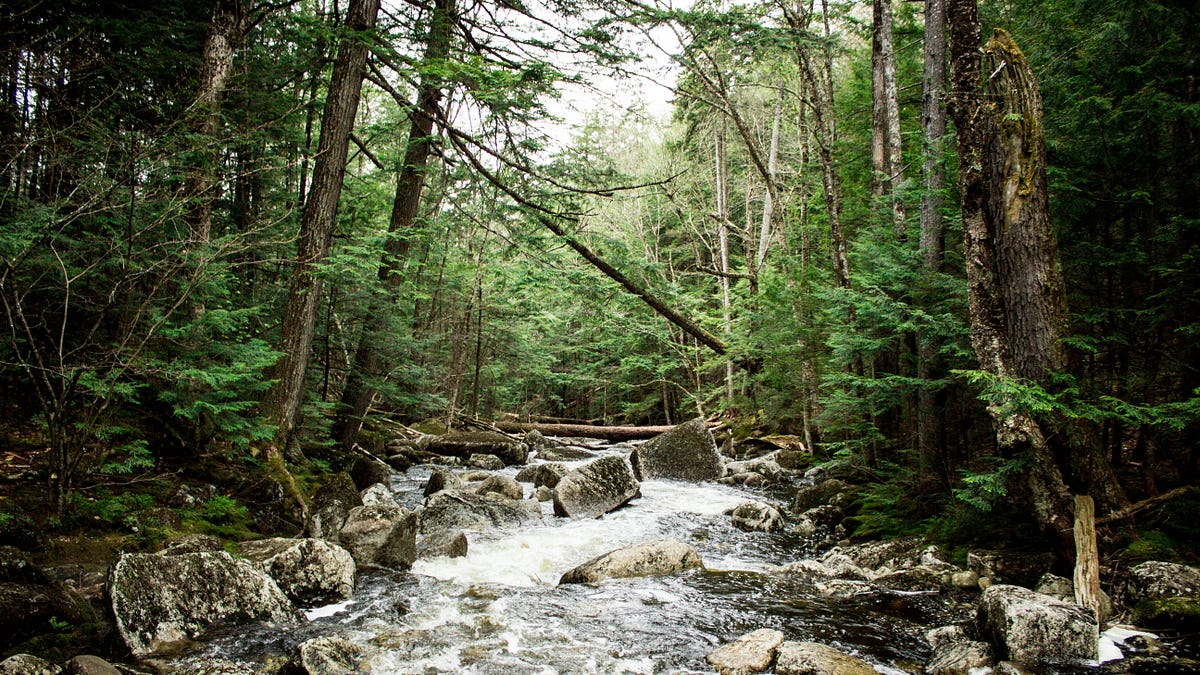 Image of: The Best Hidden Waterways in San Francisco