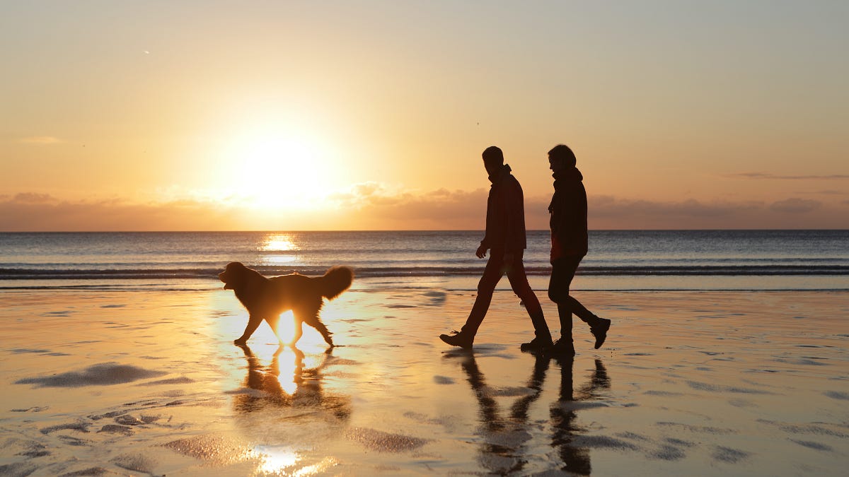 Image of: Taking Long Quarantine Walks Brought Me Closer to My Partner