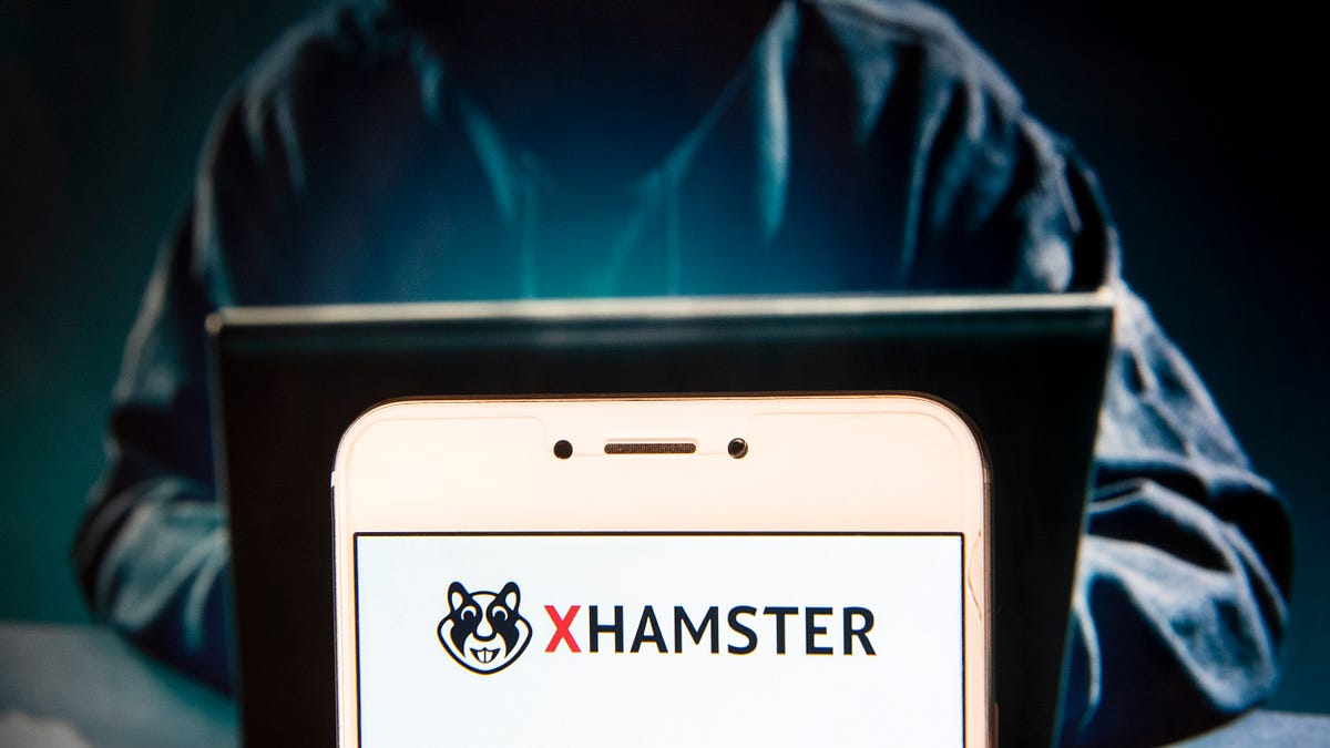Why xHamster Is So Much Better at Content Moderation Than Facebook | by Lux  Alptraum | OneZero