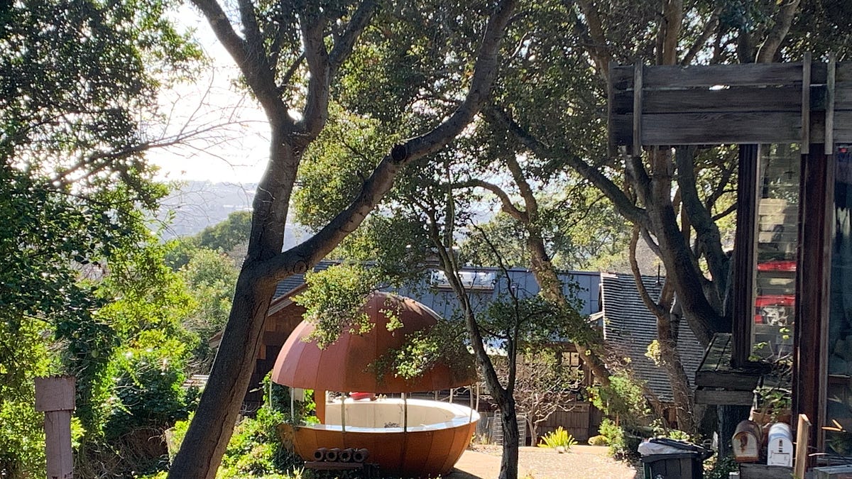 Image of: The 10 Most Berzerkely Spots in Berkeley