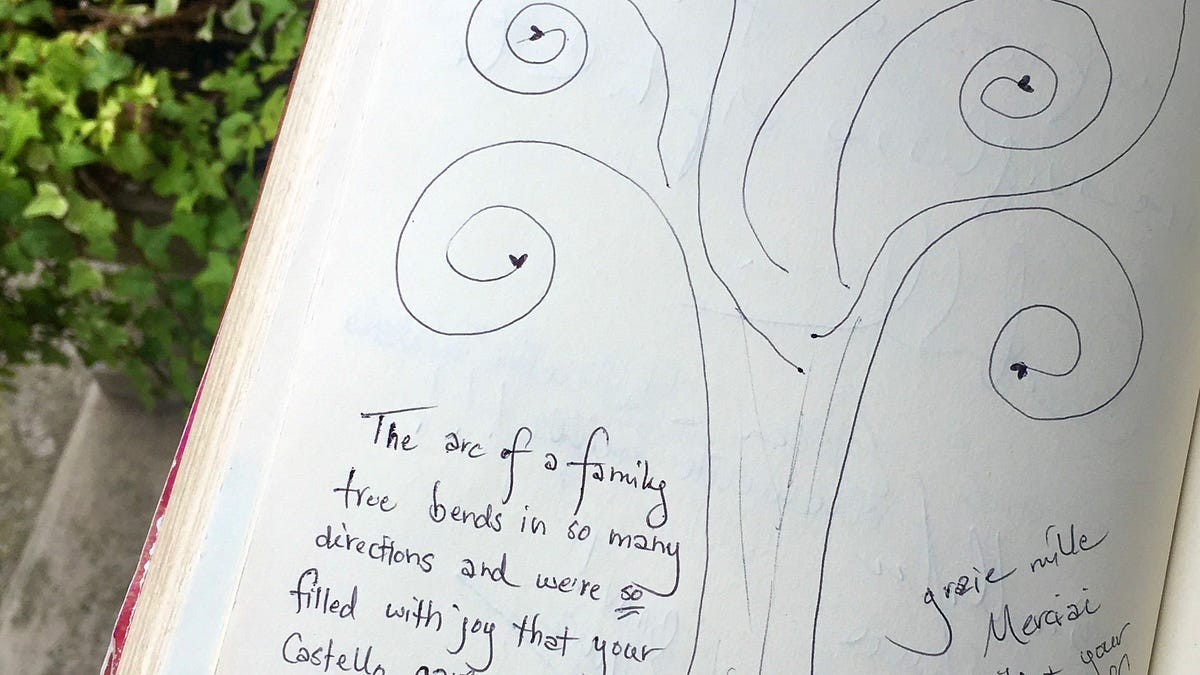 guestbook incest Rearview Reality. Heirlooming | by BradensEye | Medium