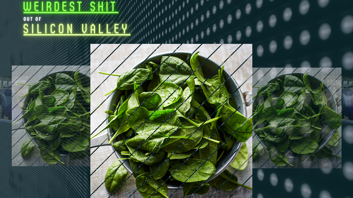 Image of: It’s True: MIT Researchers Have Taught Spinach to Send Emails