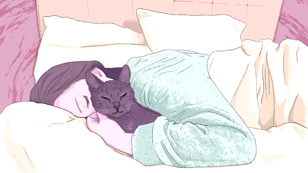 Image of: Millennials Can’t Afford Homes or Babies, But They Own All the Pets