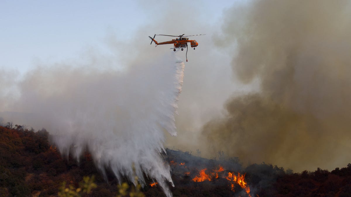 Image of: California’s Megafires Aren’t Solely Caused by Global Warming—Or Forest Mismanagement